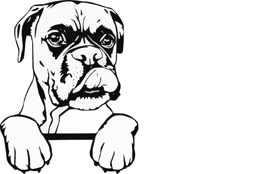 M&M Team